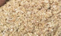 吃瓜小熊麦麸,揭秘瓜界萌宠的趣味生活