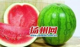 灵宠吃瓜,揭秘灵界八卦背后的神秘故事