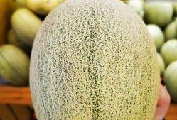 青雨蜜瓜怎么吃,尽享夏日清新美味