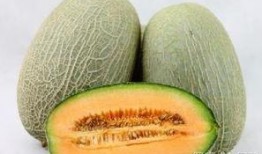 哈密瓜热吃,传统美味的新演绎