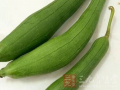 吃瓜会咳嗽