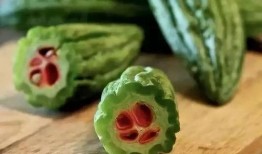 吃瓜微信壁纸,趣味微信壁纸大盘点