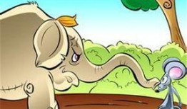 老鼠吃瓜看图说话