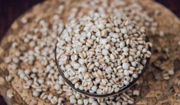 瓜米还阳怎么吃,传统食疗秘方，轻松养生保健