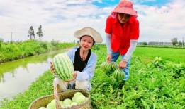 太奶奶吃瓜,一段温馨的乡村记忆