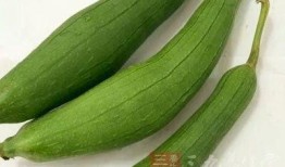 小e吃瓜