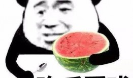 千千吃瓜全文,揭秘娱乐圈背后的真相与八卦