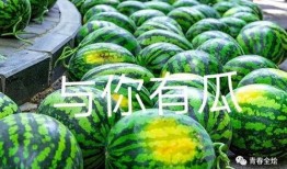 吃瓜各大学,吃瓜群众揭秘各大学新鲜事