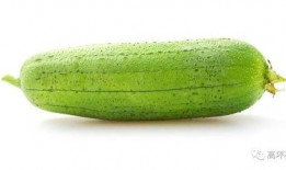 夏天吃一瓜,一瓜解千愁