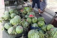 晚州吃瓜事件,揭秘网络谣言背后的真相