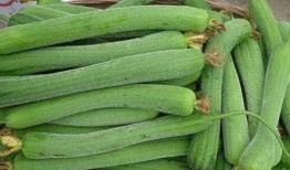 爱吃瓜的吃瓜人,揭秘吃瓜人生的酸甜苦辣