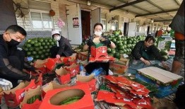 邓州吃瓜群众案件,网络舆论下的法律边界与道德拷问