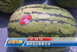 香山砂瓜怎么吃,夏日消暑美食的多样吃法探索