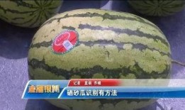 香山砂瓜怎么吃,夏日消暑美食的多样吃法探索