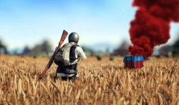 木林吃鸡瓜,探寻乡村美食的独特魅力