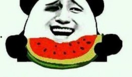 自嘲是吃瓜群众,笑对人生百态