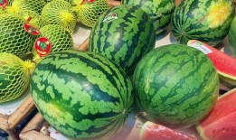 51热门吃瓜今日吃瓜17,今日吃瓜17，揭秘娱乐圈最新热点事件