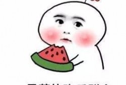 怎么做吃瓜观众,掌握观战技巧