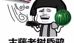 许昌郑州吃瓜,一场吃瓜者的味蕾狂欢之旅