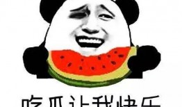 酒吧吃瓜群众特效