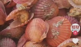 汤加吃瓜,全球“吃瓜群众”聚焦火山奇观