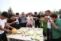 外地人吃老汉瓜,感受乡村风情