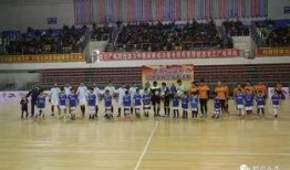 鹤岗吃瓜大赛视频回放,一场视觉盛宴的狂欢回顾