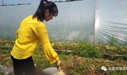 河边路人吃瓜,揭秘街头百态