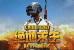 木林吃鸡瓜,探寻乡村美食的独特魅力