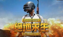 木林吃鸡瓜,探寻乡村美食的独特魅力