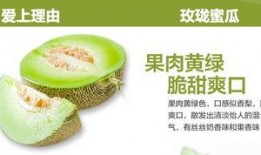 玫红蜜瓜怎么吃,玫瑰蜜瓜的多彩食法揭秘