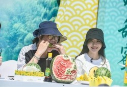 抖音倭寇吃瓜,倭寇吃瓜，古风美食新潮流