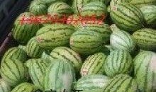 香山砂瓜怎么吃,夏日消暑美食的多样吃法探索