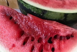 火热吃瓜团698,揭秘娱乐圈背后的秘密与八卦风云