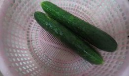 吃瓜爆料黑胡椒,一场味蕾与真相的较量