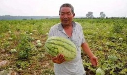 吃瓜 岱,揭秘娱乐圈背后的那些事儿