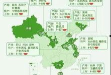 迷你吃瓜地图