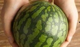 来风吃瓜,揭秘娱乐圈幕后故事