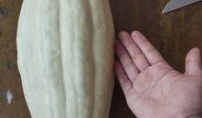 扶手瓜的叶子怎么吃,扶手瓜叶的多样食用方法探索