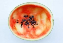 勺子吃瓜,揭秘网络热词背后的趣味与思考