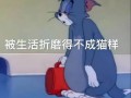 吃瓜被骗搞笑文案图片,搞笑文案揭露网络陷阱
