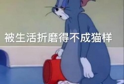 吃瓜被骗搞笑文案图片,搞笑文案揭露网络陷阱
