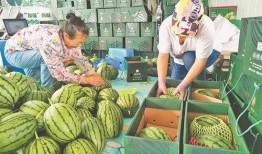 宜兴吃瓜小分队,探寻美食背后的故事