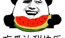 吃瓜群众老板,瓜田里的商业奇才