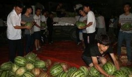 吃瓜中华民族,吃瓜群众视角下的中华民族文化盛宴