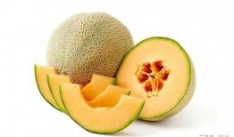 带你吃瓜搞笑名字,揭秘搞笑名字背后的趣味故事