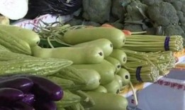 什么瓜不能晾着吃,揭秘哪些“瓜”不宜直接食用