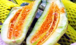 寿光东夏吃瓜,瓜果飘香，品味田园生活新篇章