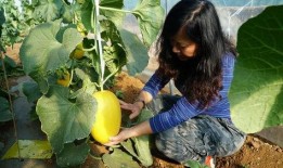 晚州吃瓜事件,揭秘网络谣言背后的真相