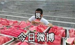 吃瓜塌房子,揭秘娱乐圈背后的真相与风波